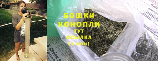 гидра Михайловск
