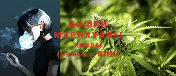 ГАЛЛЮЦИНОГЕННЫЕ ГРИБЫ Балахна