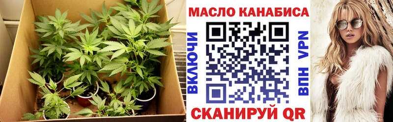 маркетплейс состав  где найти   ссылка на мегу ссылка  Северо-Курильск  Дистиллят ТГК концентрат 