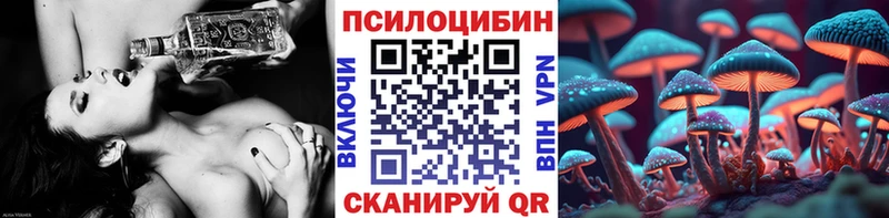 купить наркоту  площадка формула  Псилоцибиновые грибы GOLDEN TEACHER  Северо-Курильск 